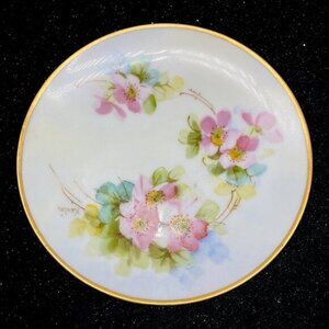 Antique Thomas Bavaria Hand Painted Pink‎ Floral Plate 6”